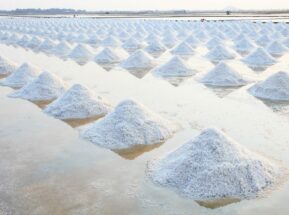 Salt-farm-1024×682