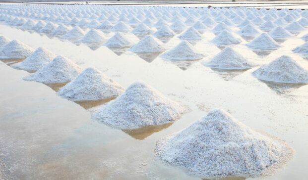 Salt-farm-1024×682