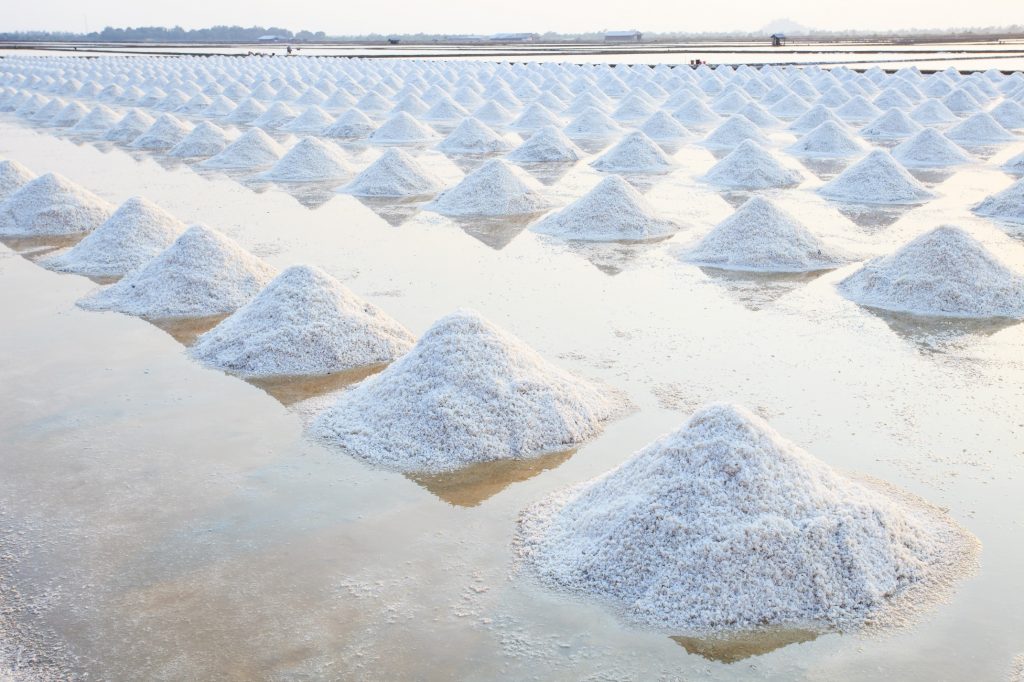 Salt-farm-1024×682